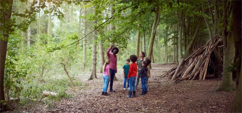 Activiteiten en excursies