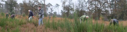 Natuurwerkdag Meinweg