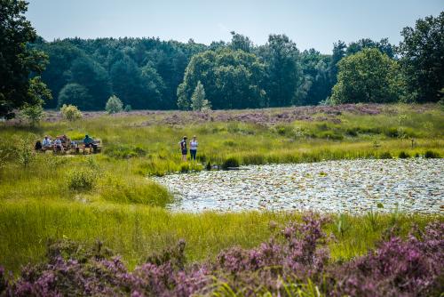 Sfeerbeeld mensen bij water in de natuur