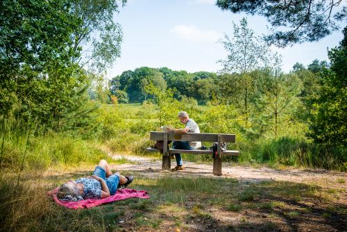 Man op bankje en vrouw op picknick kleed, in de natuur