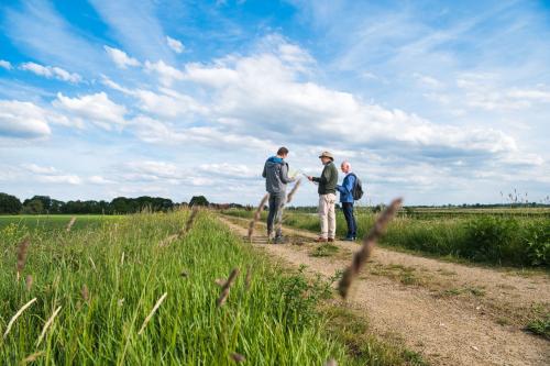 Mensen op pad in veld