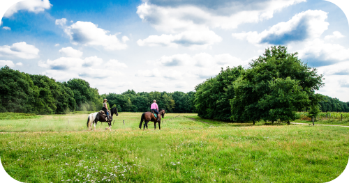 Sfeerbeeld ruiters in de natuur