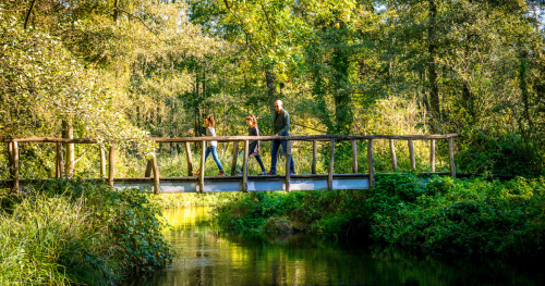 Mensen die wandelen over een brug in de natuur
