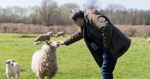 Portretfoto van Sjraar met een aantal schapen