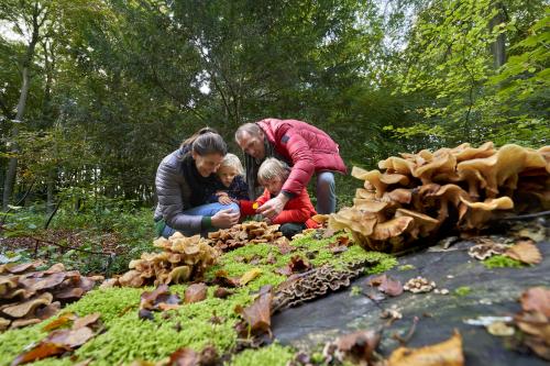 Sfeerbeeld gezin met kinderen op de grond in de natuur