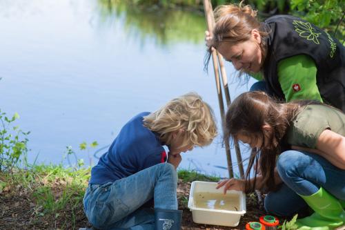 IVN vrijwilliger in de natuur